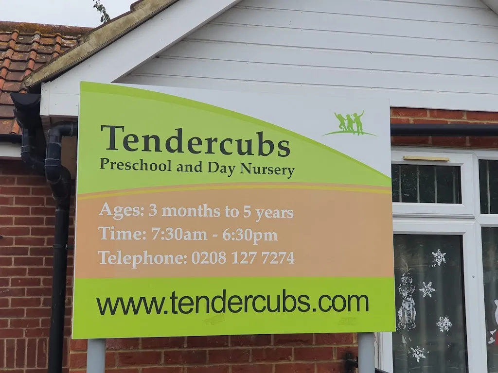 Tendercubs Pre-school and Day Nursery, High Road Leytonstone.