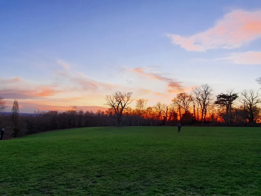 The Mill Field